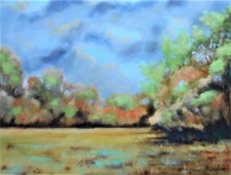 Kousek louky 50x65